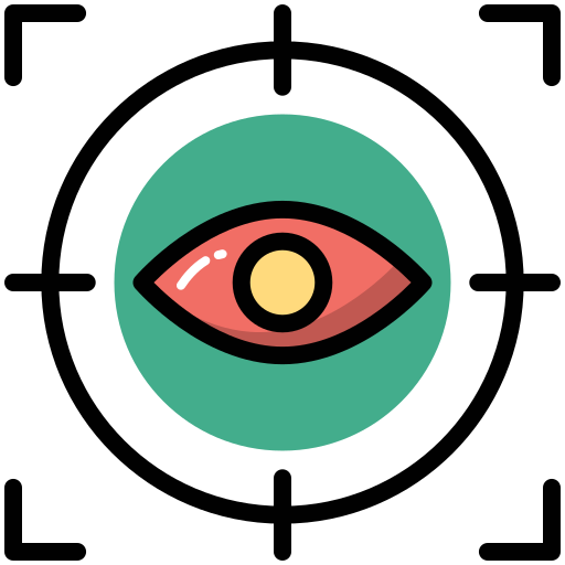 Vision
